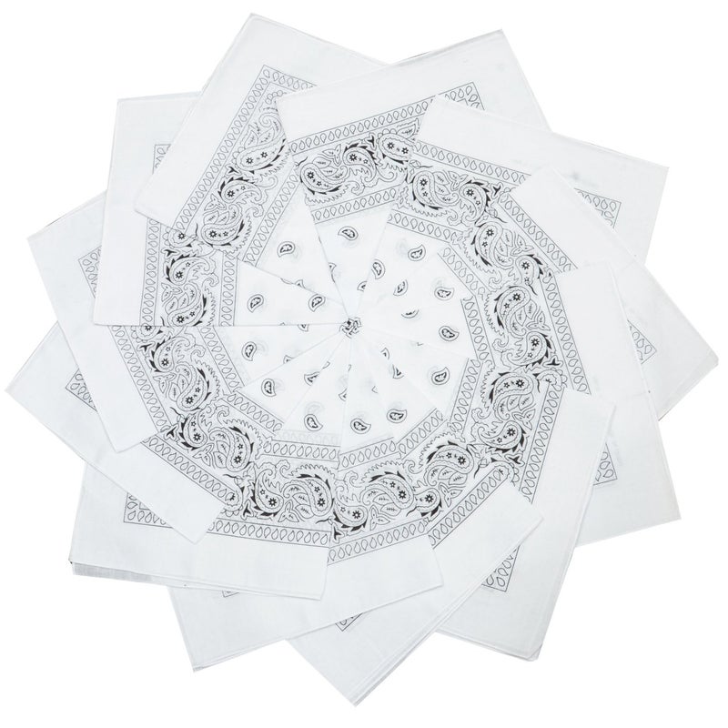 TZ Promise 12 Pack Bulk 100% Cotton Paisley Bandana Head Wrap Size 22 x 22 inches - Image 1